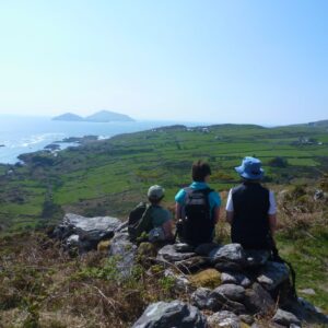 Kingdom Kerry Gallery 13