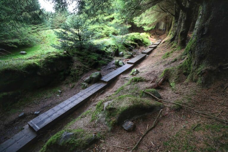 Wicklow Way Ballinastoe Woods, Trail, Oldtown, Co Wicklow master