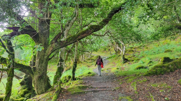 Kerry Way hiking 17 2