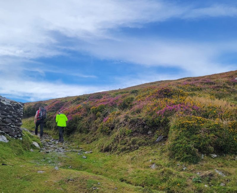 Dingle Way County Kerry Dingle HIking 03