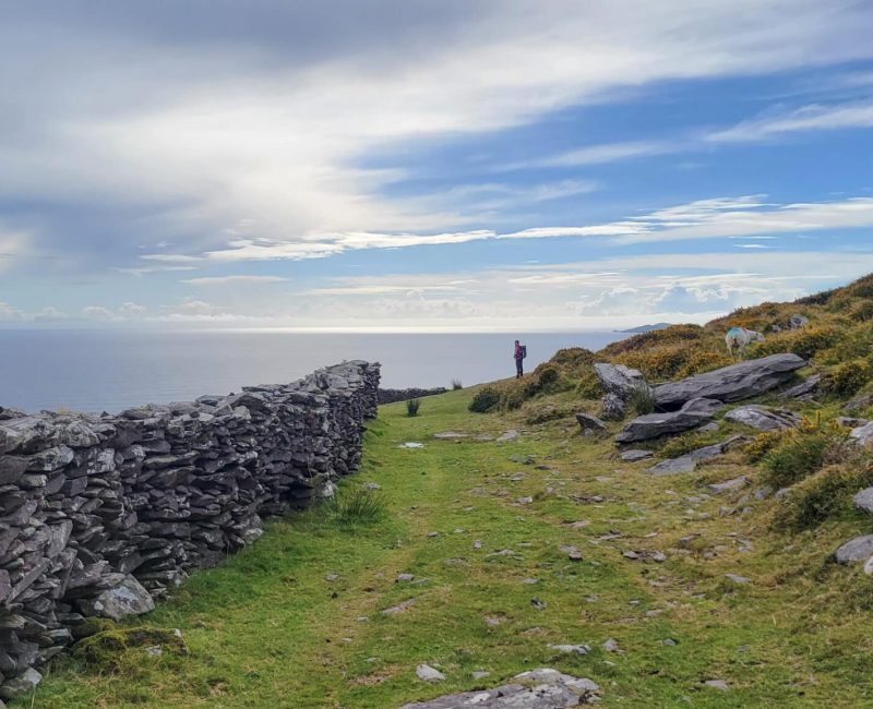 Dingle Way County Kerry Dingle HIking 07