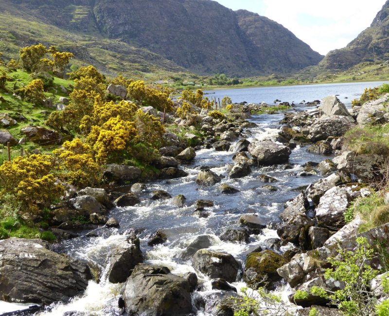 On the Kerry Way(Barry Goldlust)