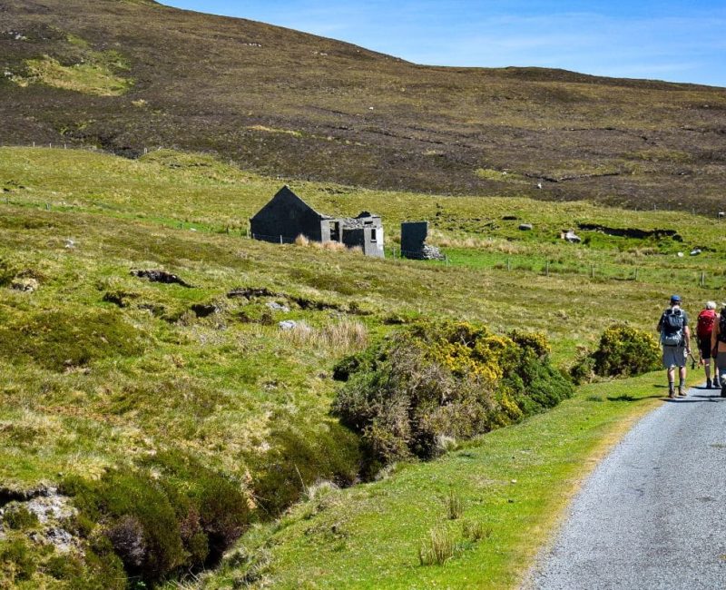 ireland-guided-hike-waw-country-road