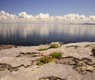 Burren Day Tours - Day Tours Clare