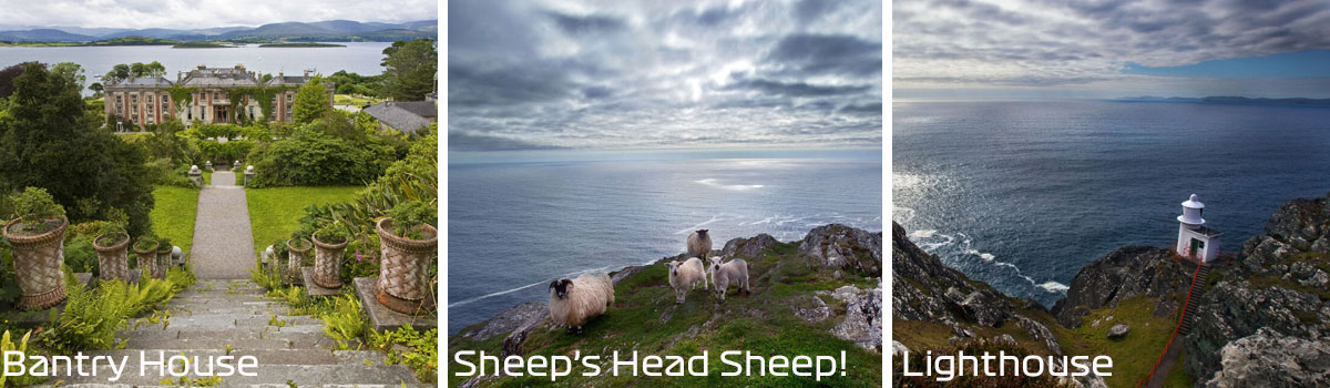 Sheep's Head Scenery - Hiking on Sheep's Head