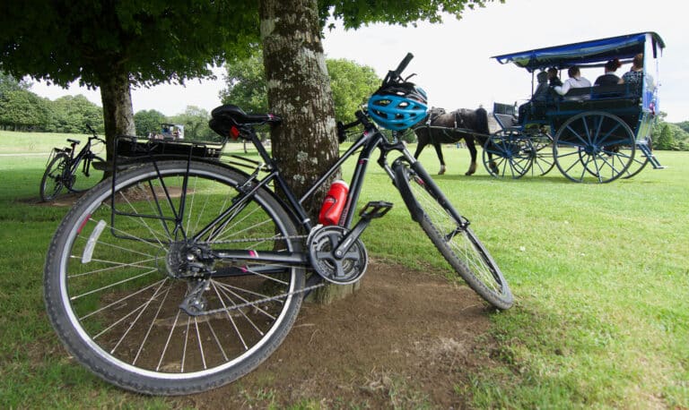 Highlights of Kerry Cycle TreeJarvey