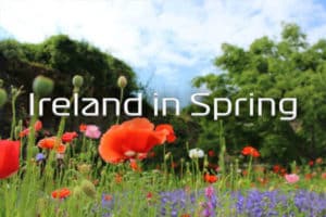Reasons to love Ireland Travel in Spring