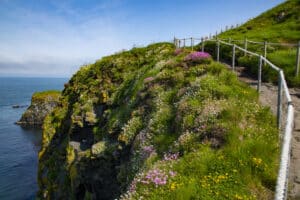 Views of Carrick a Rede island and Ropebridge with the cliffs and path