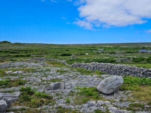 Burren Way Landscape Green