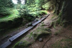 Wicklow Way Ballinastoe Woods, Trail, Oldtown, Co Wicklow master