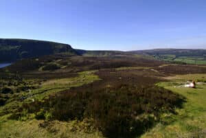 Wicklow Mountains and Lough Dan