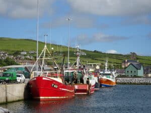 Dingle Way, Dingle Harbour