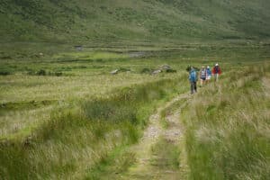Dingle Way wAY OF THE cOW