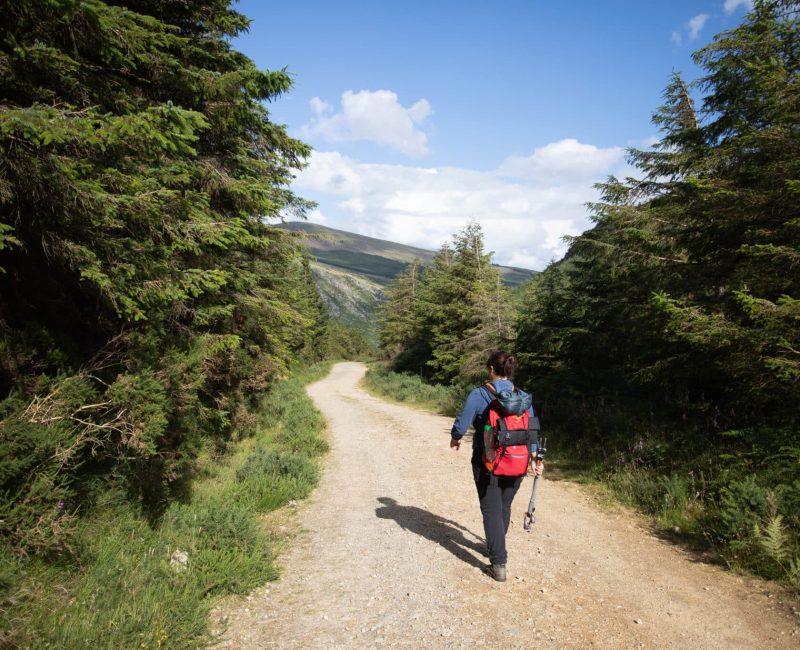 Wicklow Way Glenmalure Valley, Co Wicklow master